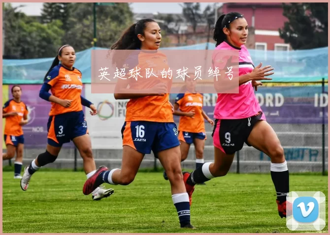 英超球队的球员绰号