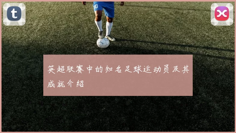 英超联赛中的知名足球运动员及其成就介绍