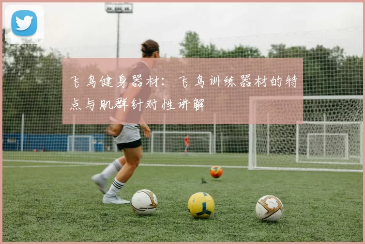飞鸟健身器材：飞鸟训练器材的特点与肌群针对性讲解