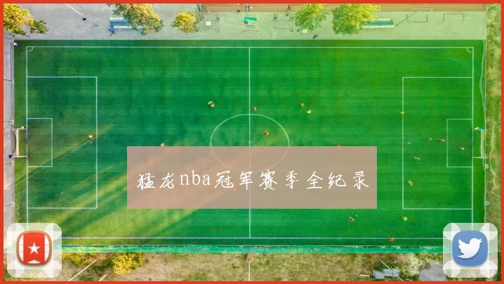 猛龙nba冠军赛季全纪录