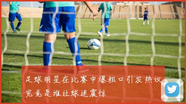 足球明星在比赛中爆粗口引发热议究竟是谁让球迷震惊