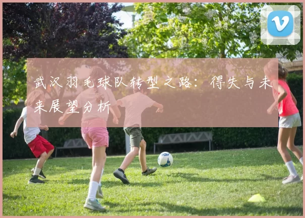 武汉羽毛球队转型之路：得失与未来展望分析