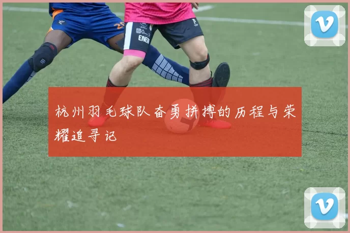 杭州羽毛球队奋勇拼搏的历程与荣耀追寻记
