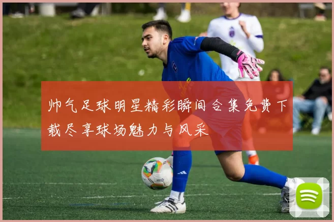帅气足球明星精彩瞬间合集免费下载尽享球场魅力与风采
