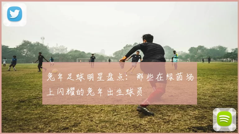 兔年足球明星盘点：那些在绿茵场上闪耀的兔年出生球员