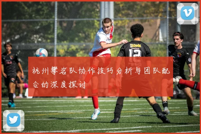 杭州攀岩队协作技巧分析与团队配合的深度探讨