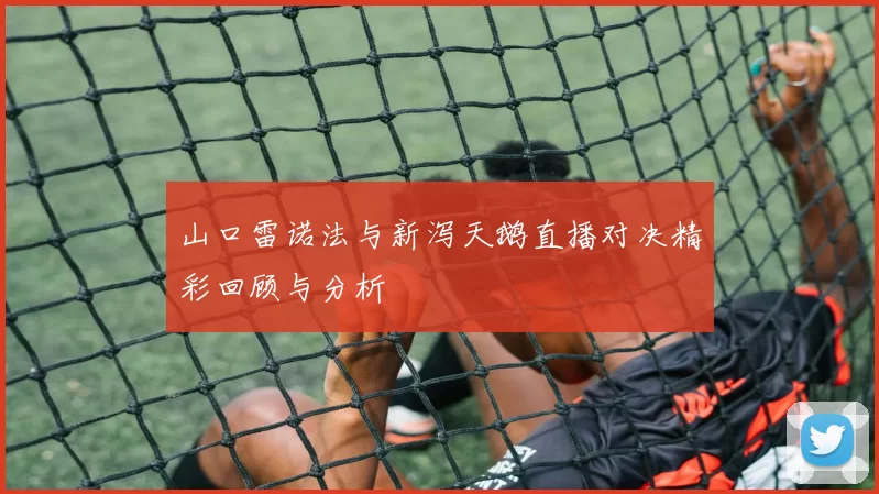 山口雷诺法与新泻天鹅直播对决精彩回顾与分析