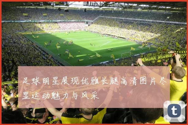 足球明星展现优雅长腿高清图片尽显运动魅力与风采