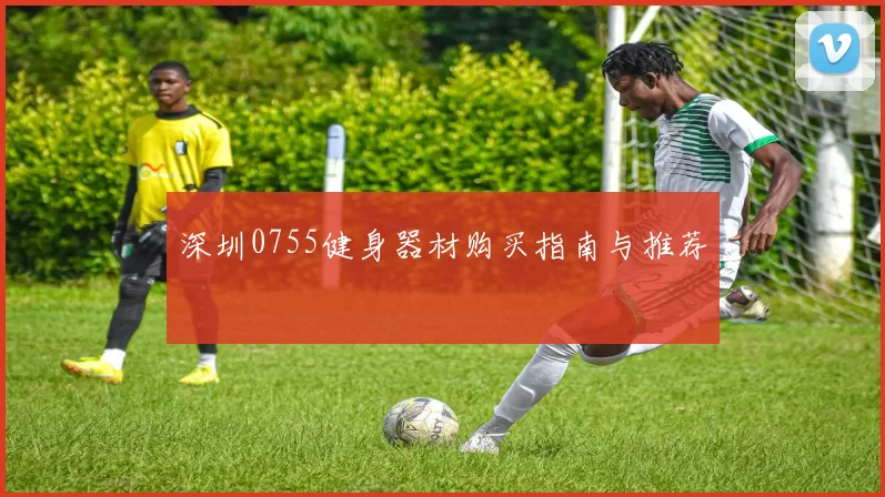 深圳0755健身器材购买指南与推荐