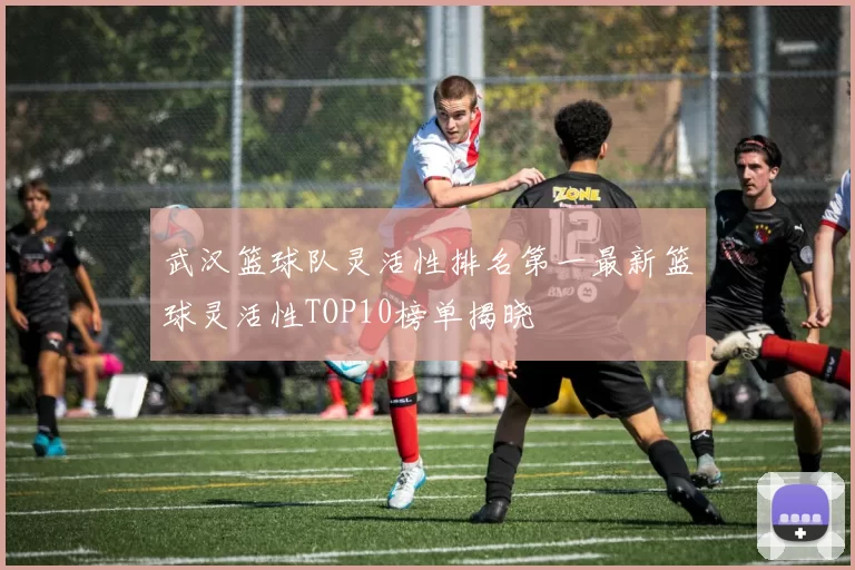 武汉篮球队灵活性排名第一最新篮球灵活性TOP10榜单揭晓