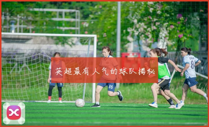 英超最有人气的球队揭秘