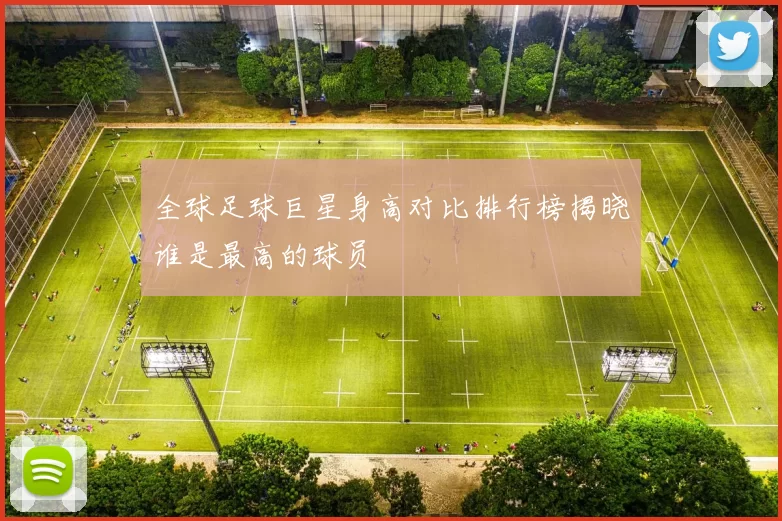 全球足球巨星身高对比排行榜揭晓谁是最高的球员