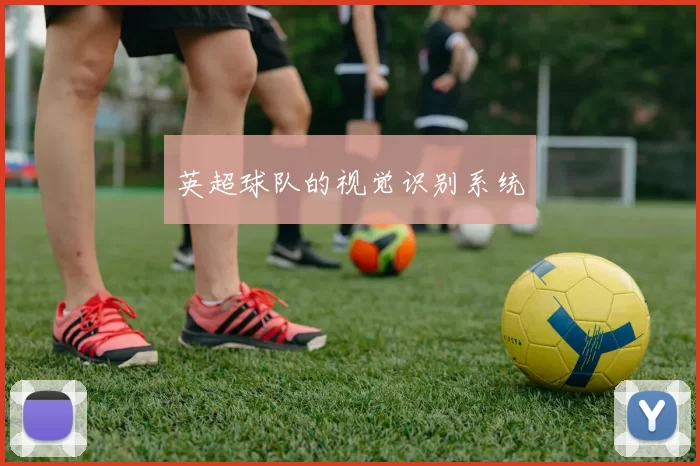 英超球队的视觉识别系统