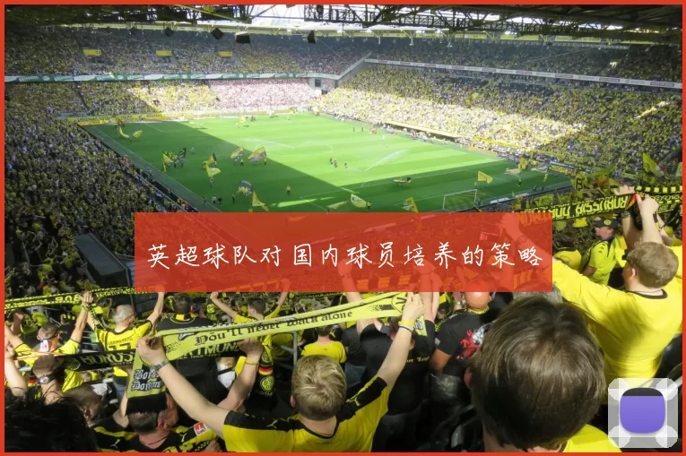 英超球队对国内球员培养的策略