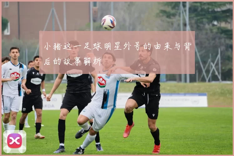 小猪这一足球明星外号的由来与背后的故事解析