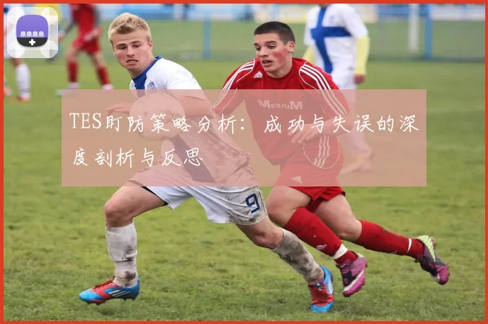 TES盯防策略分析：成功与失误的深度剖析与反思