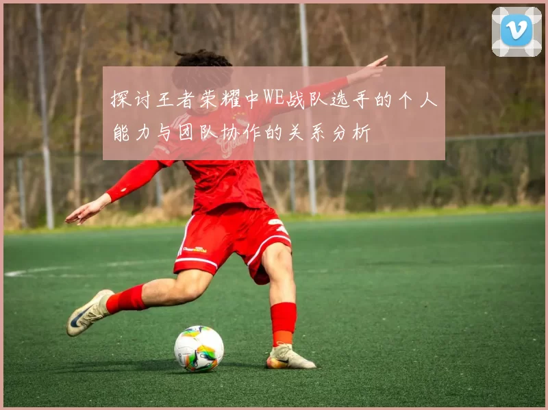 探讨王者荣耀中WE战队选手的个人能力与团队协作的关系分析