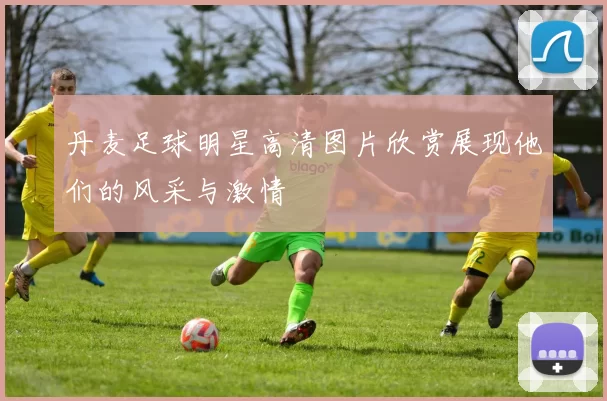 丹麦足球明星高清图片欣赏展现他们的风采与激情