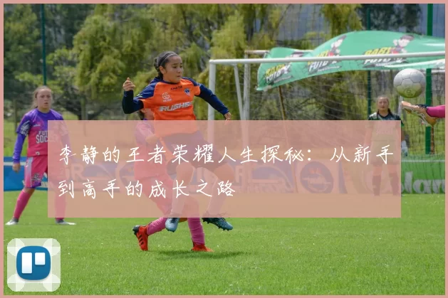 李静的王者荣耀人生探秘：从新手到高手的成长之路