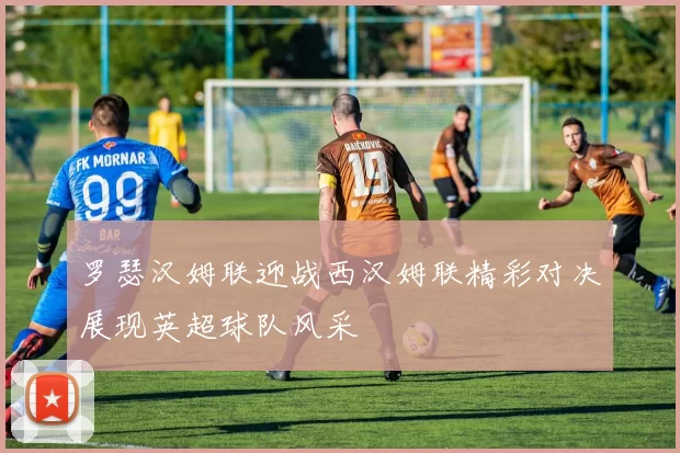 罗瑟汉姆联迎战西汉姆联精彩对决展现英超球队风采